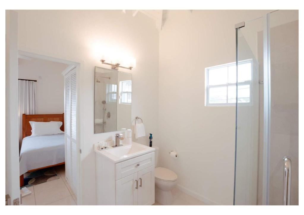 La salle de bains blanche est pourvue de toilettes et d'un lavabo. dans l'établissement Luxurious Oasis for groups, à Rodney Bay Village