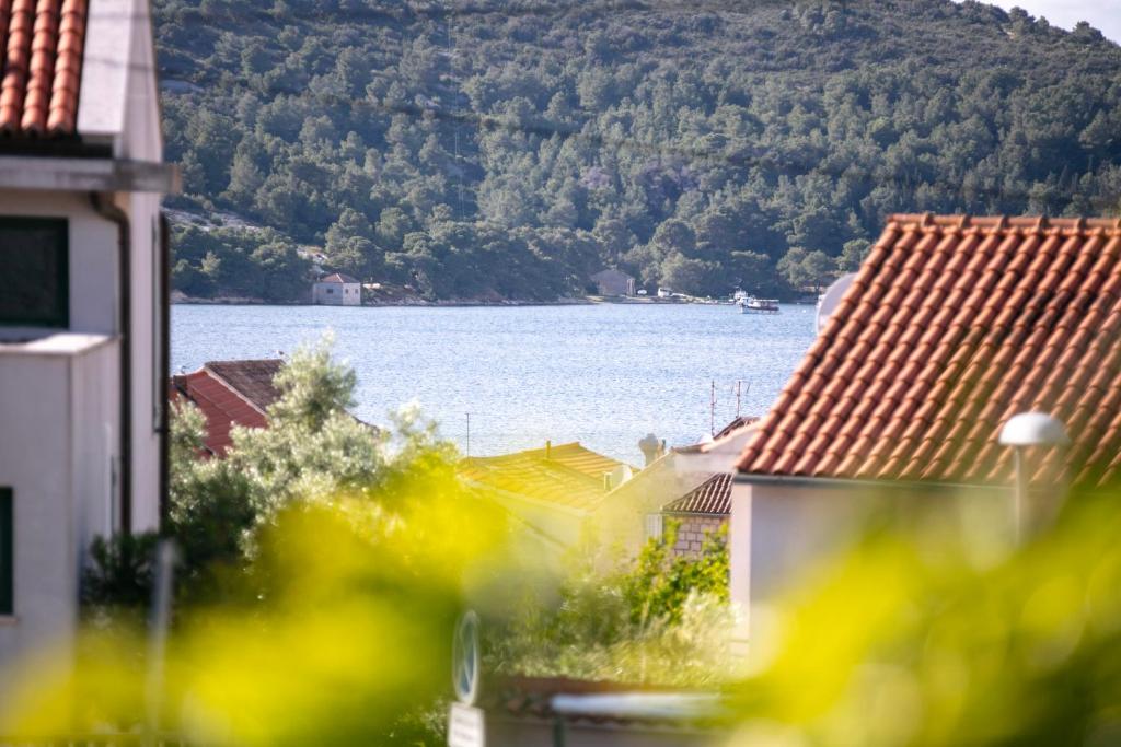 Příroda nedaleko apartmánu