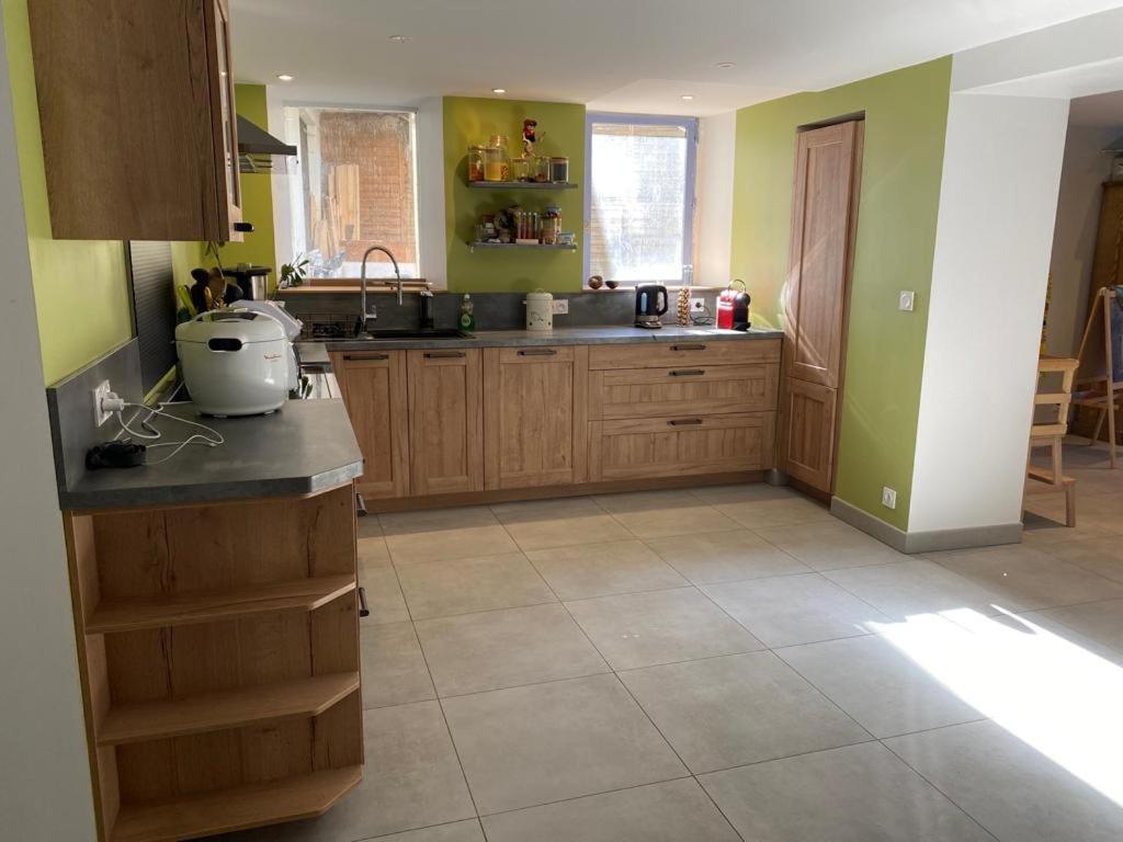 - une cuisine avec des placards en bois et des murs verts dans l'établissement Grand appartement terrasse au coeur des Bauges, à Le Châtelard