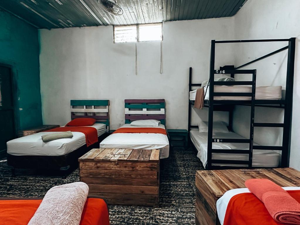 a room with four bunk beds and a ladder at Casa Nicté in Flores