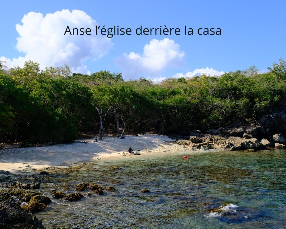 a view of a beach with trees and water at La Casa des Lucioles in Saint-Louis