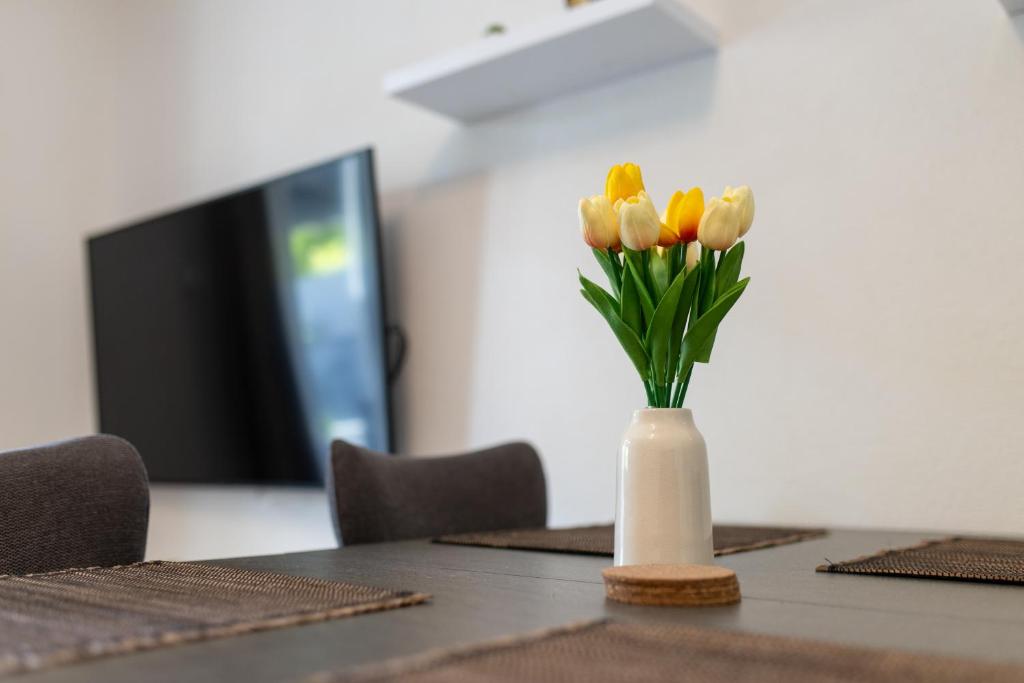 TV a/nebo společenská místnost v ubytování Apartments Bilopavlović