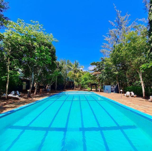 una piscina azul con árboles en el fondo en Kijani Cottages - In Diani, en Diani Beach