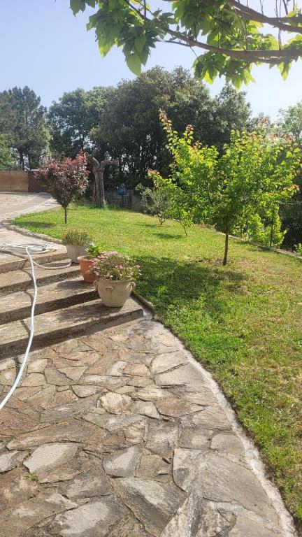 einen Steinweg mit drei Topfpflanzen darauf in der Unterkunft F2 rez de jardin in Ajaccio