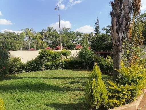 un jardín con un árbol en medio de un patio en BelaBela Guesthouse, en Bela-Bela