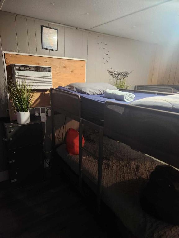 a bedroom with two bunk beds and a desk at Co-ed Dorm with Fantastic Patio! in Ewing