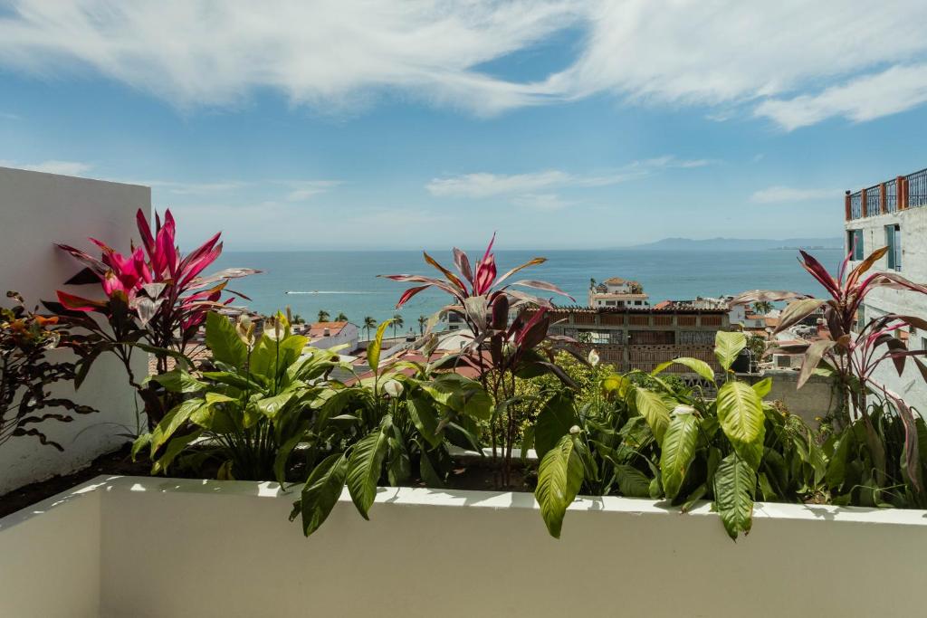 Casa Nawalli Puerto Vallarta Boutique Hotel - Adults Only - King Studio