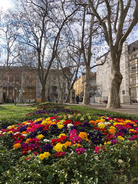 4citywindows - Resim 5