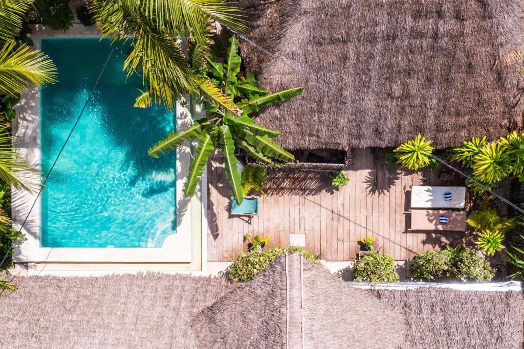 an overhead view of a resort with a swimming pool at Pili Pili Oasis in Jambiani