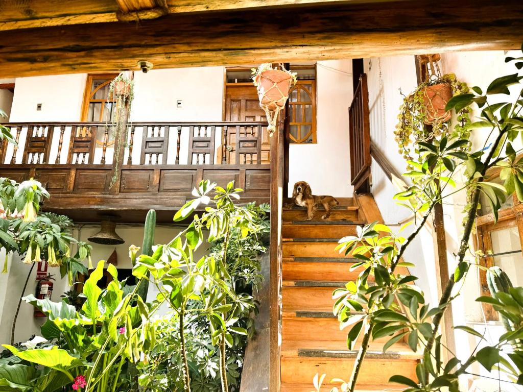 Zahrada ubytování Hotel Inka King