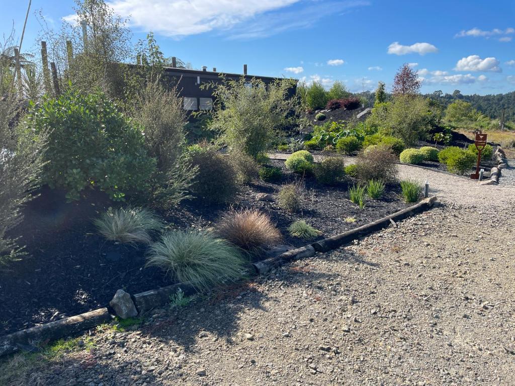 Pukeko Lane - Resim 15