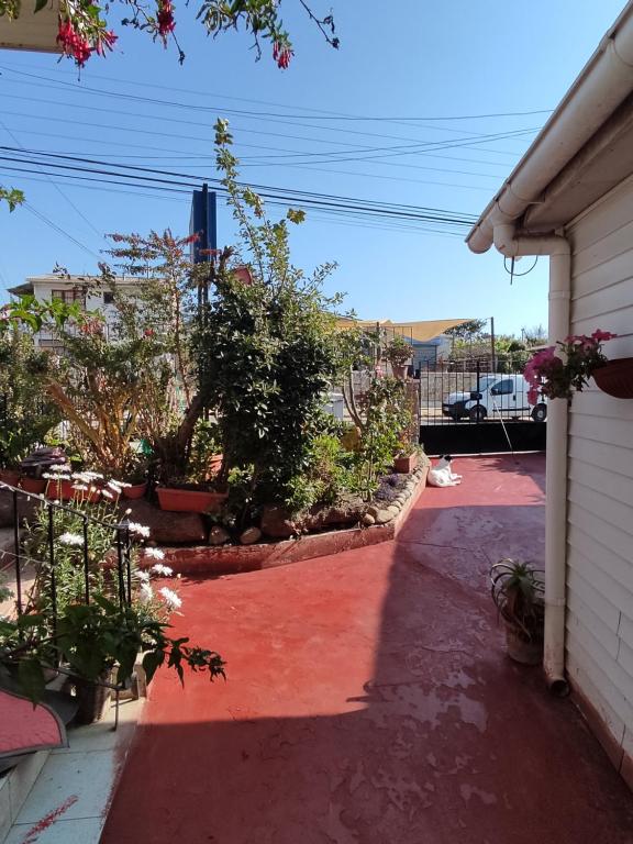 Hostal Saint Michell. El Quisco في كيسكو: منزل به ممر احمر وبه نباتات