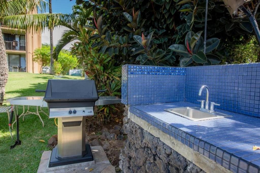 Zahrada ubytování Stunning Maui Direct Ocean front on the beach, Walk to beach from Condo, Watch Turtles, Whales, AC in all rooms ocean view Pool and Spa