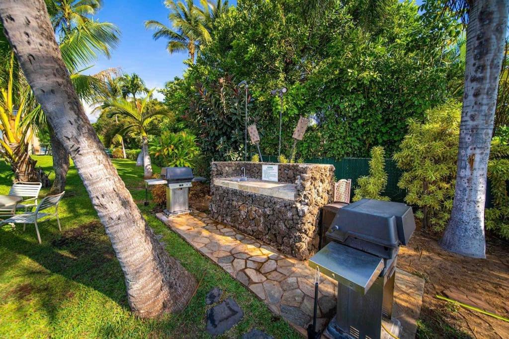 Zahrada ubytování Stunning Maui Direct Ocean front on the beach, Walk to beach from Condo, Watch Turtles, Whales, AC in all rooms ocean view Pool and Spa