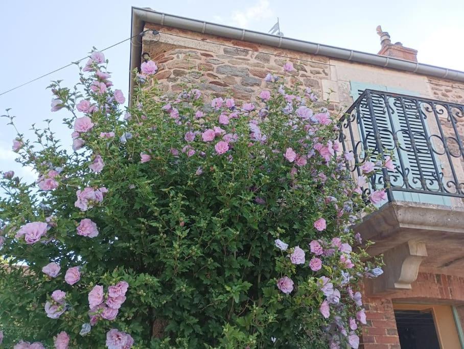 une brousse de roses roses sur le côté d'un bâtiment dans l'établissement Mine d'Ore Grand Gîte de la Chouette d'Or, à Thoste