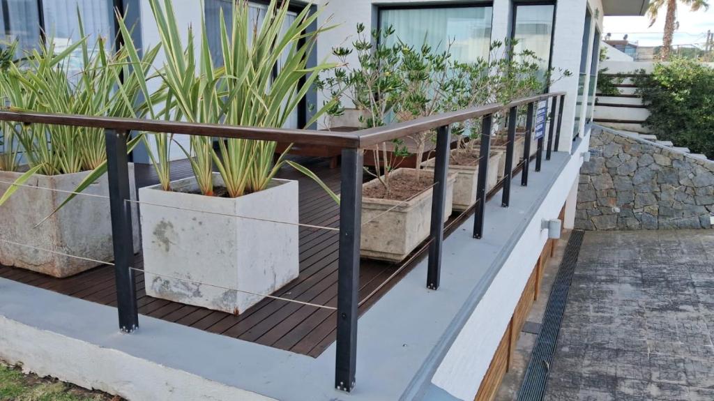 a row of potted plants on a balcony at Amplio duplex al mar en manantiales in Punta del Este