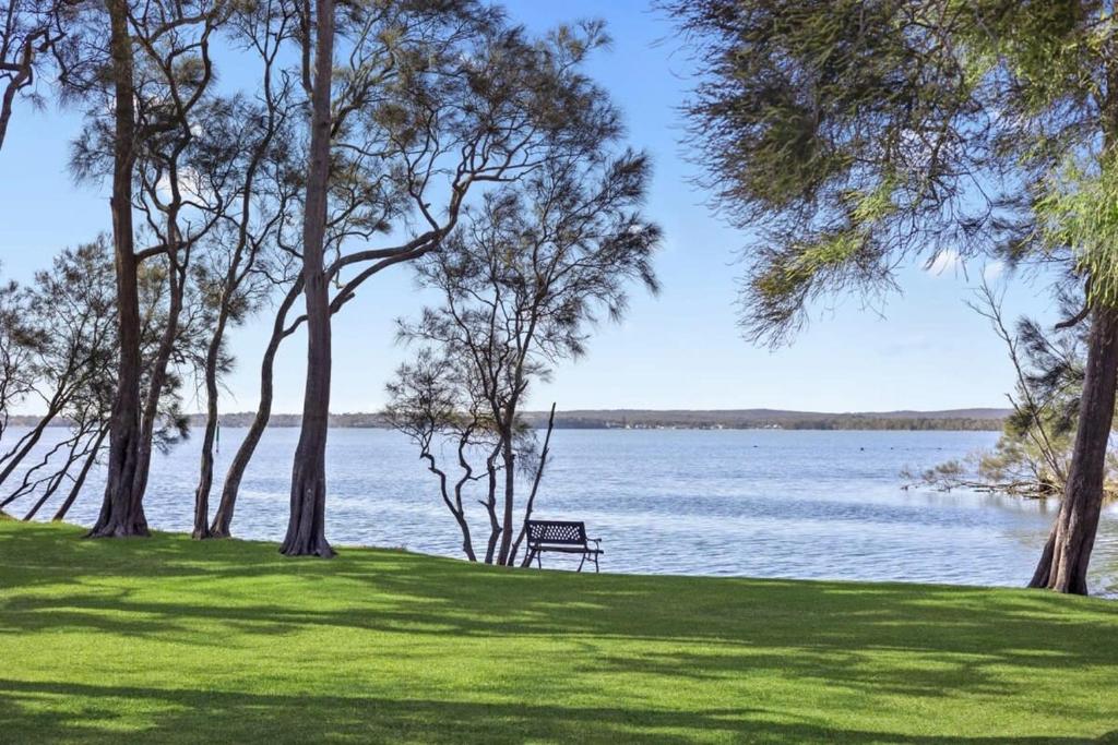 a park bench sitting on the grass near the water at Lakeview Tranquility Budgewoi in Budgewoi