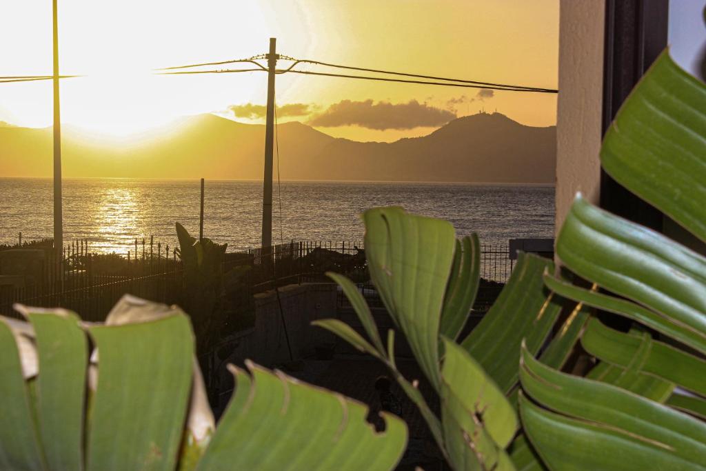 a view of the ocean from a house with a plant at Oltremare Suite N37 Benessere invernale con vista mare in Bagheria