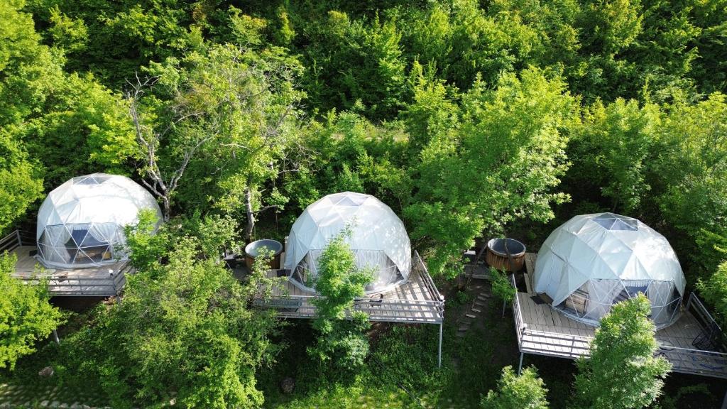 an overhead view of three domes in a forest at Berkheva Glamping - ბერხევა გლემპინგი in Zemo Khodasheni