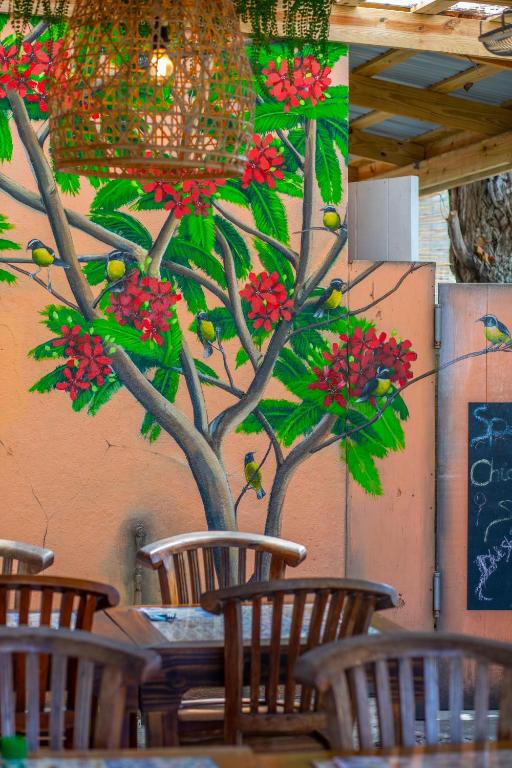 Fotografie z fotogalerie ubytování Curaçao Gardens v destinaci Willemstad