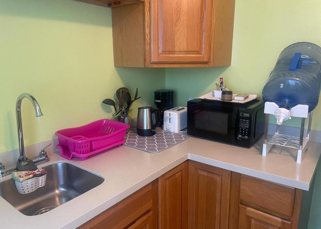 a kitchen counter with a sink and a microwave at Denyse Home Cottage in Saint Johnʼs