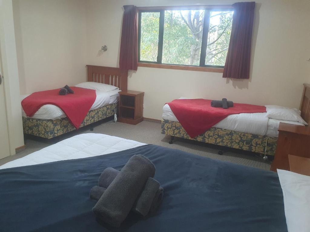 Postel nebo postele na pokoji v ubytování Geraldine Motels