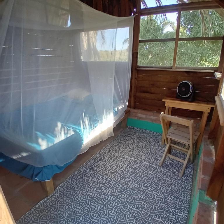 马祖特hostal pakal的一间有床、桌子和窗户的房间