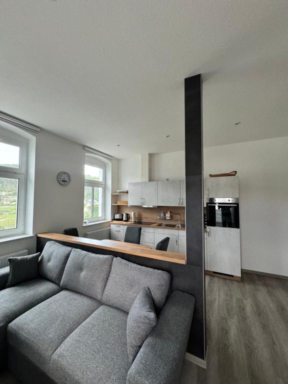 Pension Hönel-Hof Bad Schandau - Apartamento De Un Dormitorio Con Vistas Al Río