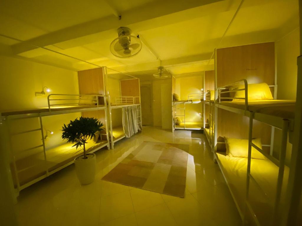 Cette chambre dispose de lits superposés et d'une plante en pot. dans l'établissement Nhà trọ LEGO Dormstay, à Hanoï