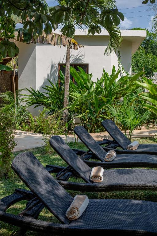 Zahrada ubytování Casa Cactus Buenavista