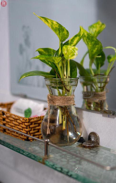 Galeriebild der Unterkunft Tân Hoà Homestay Da Nang in Đà Nẵng