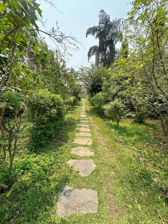 Giardino di Cherry Garden Pokhara