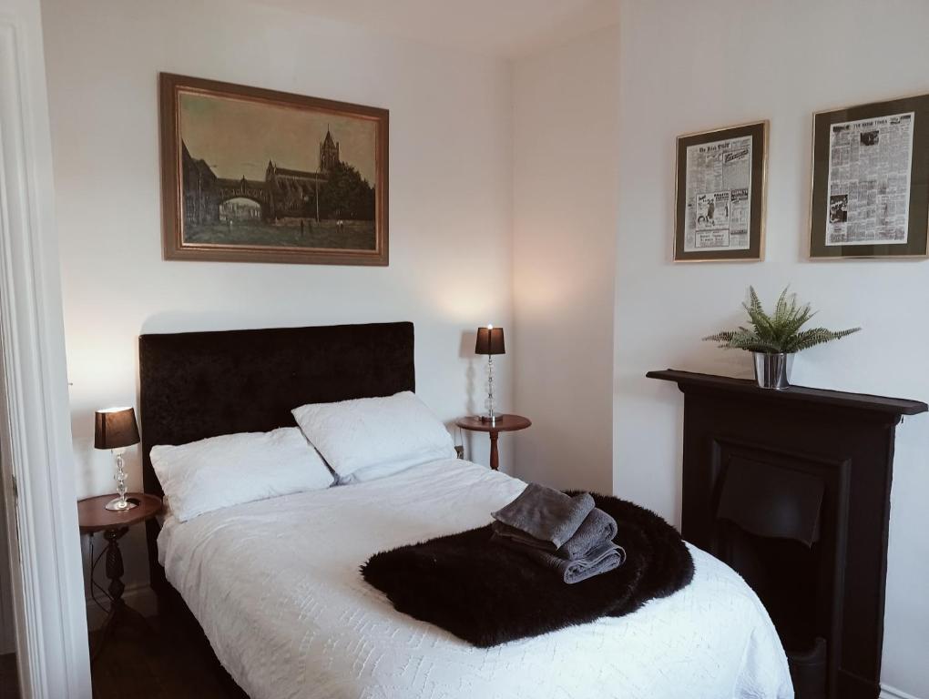 1 dormitorio con 1 cama con manta blanca y negra en Dublin canal side, en Dublín