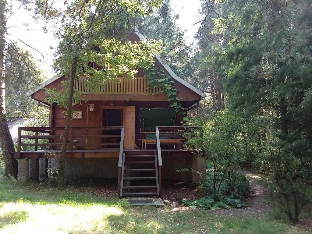 Dom na Skraju Lasu في Stoczek Łukowski: كابينة في الغابة مع درج يؤدي إليها