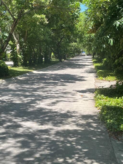 a tree lined road with trees on either side at Ma Roberta - Tambuli Resort with fast Wifi 16 Floor Studio Type in Lapu Lapu City