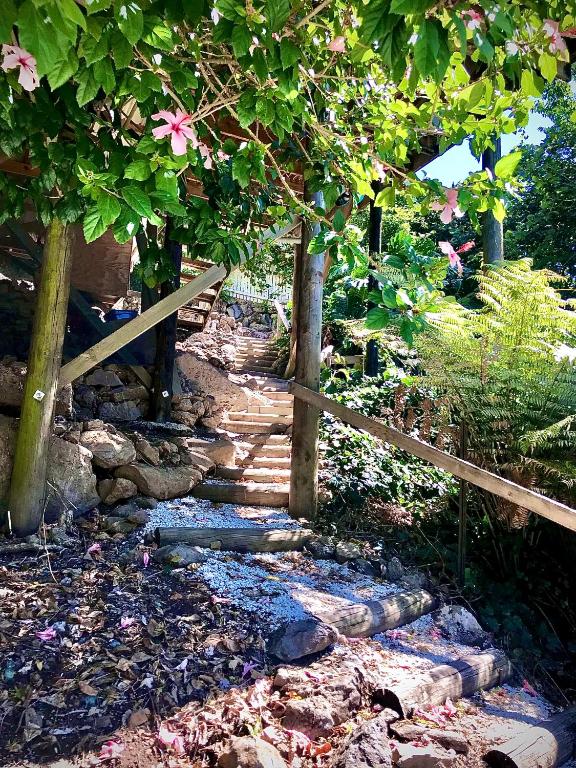 Hatea Treehouse - Resim 10