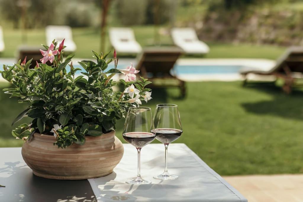 zwei Gläser Wein auf einem Tisch mit Topfpflanze in der Unterkunft Wine Resort Campacci in San Gusmè