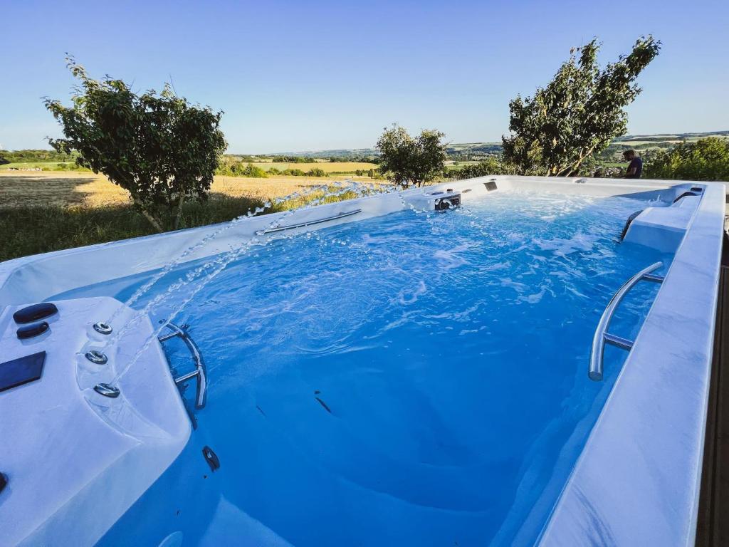 a hot tub with blue water in a field at Le Saltimbanque - Auberge du Moulin in Eaucourt-sur-Somme