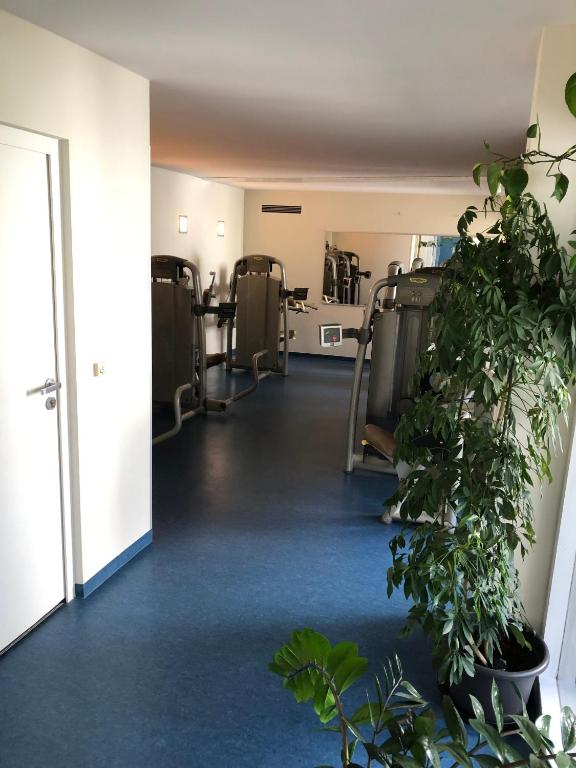 Fitness centrum a/nebo fitness zařízení v ubytování Ferienwohnung Tanja