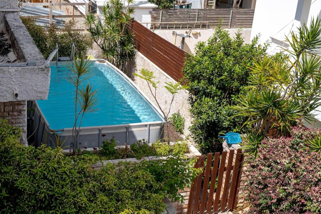 an overhead view of a swimming pool in a garden at Stylish 4BR Villa - Herzliya Pituah in Herzelia 