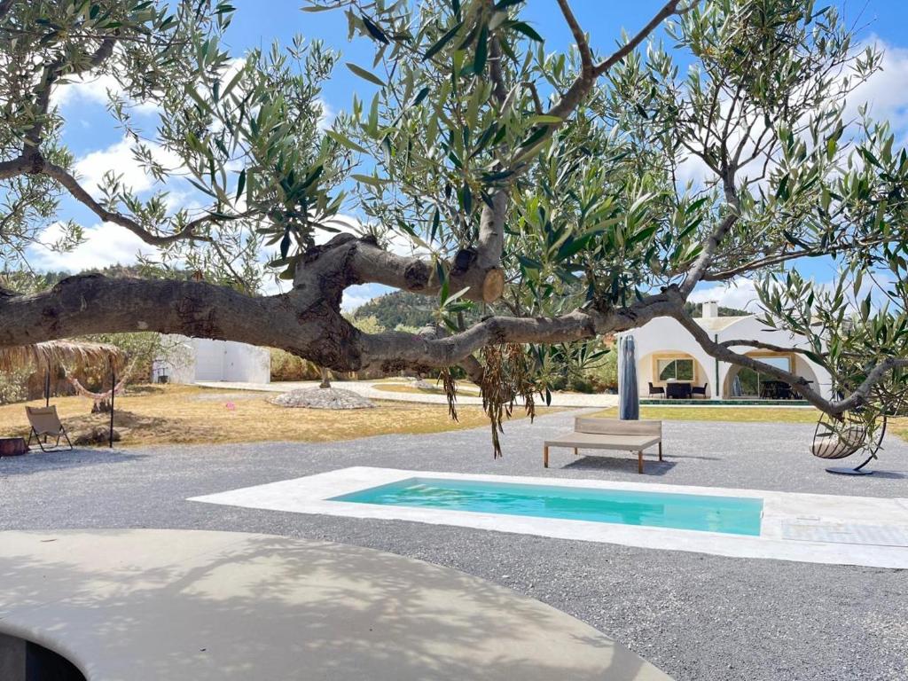 Fotografie z fotogalerie ubytování Villa a la montagne Hammamet v destinaci Hammamet