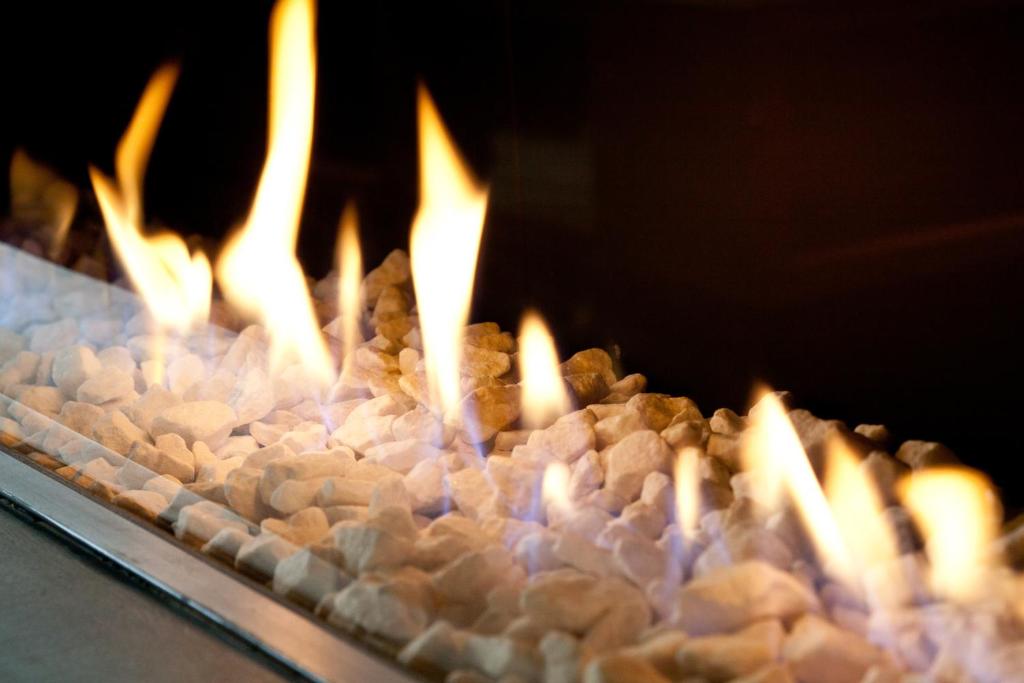 Fred'Hotel - Resim 44