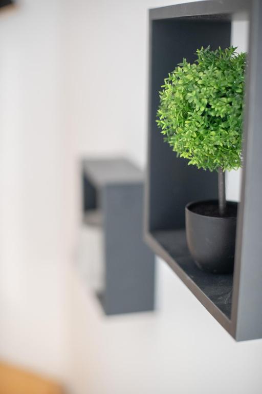 Chateau Compiegne Houses - Centre Ville - 11