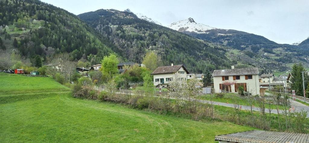 Příroda nedaleko apartmánu