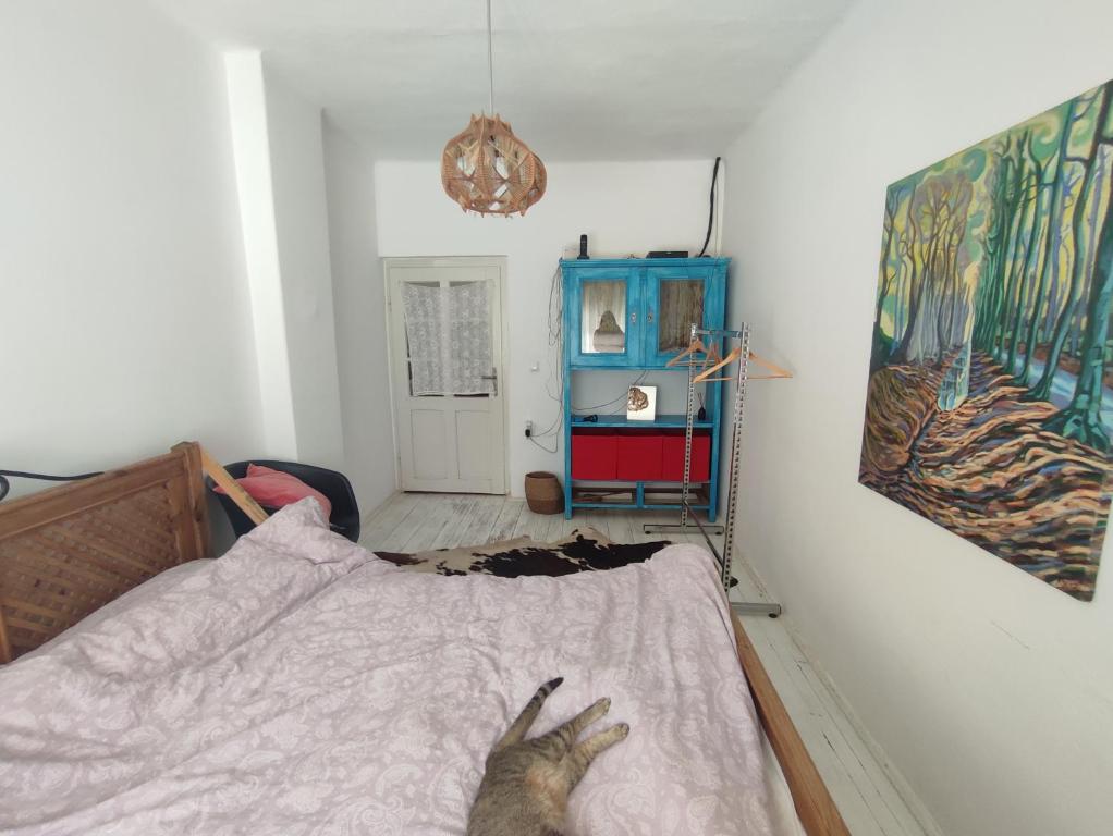 Postel nebo postele na pokoji v ubytování Balkan Retreat