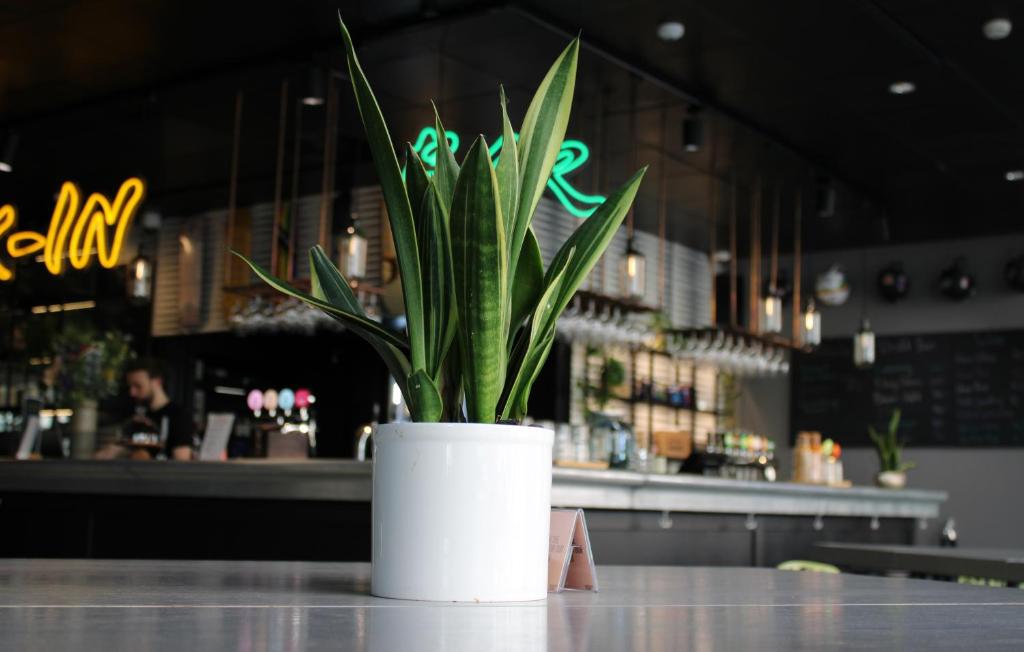Nápoje v ubytování Comfort Hotel Vesterbro