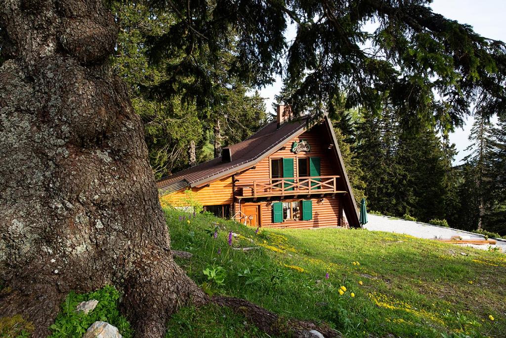 une maison en bois sur une colline avec un arbre dans l'établissement Chalet Alpinka, à Cerklje na Gorenjskem