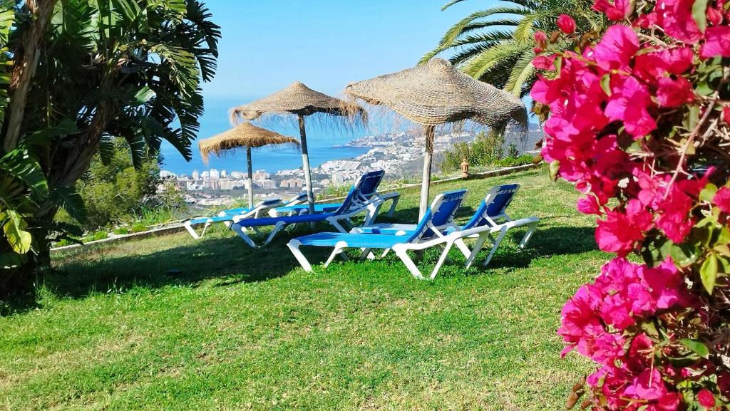Φυσικό τοπίο κοντά σε αυτό το ξενοδοχείο