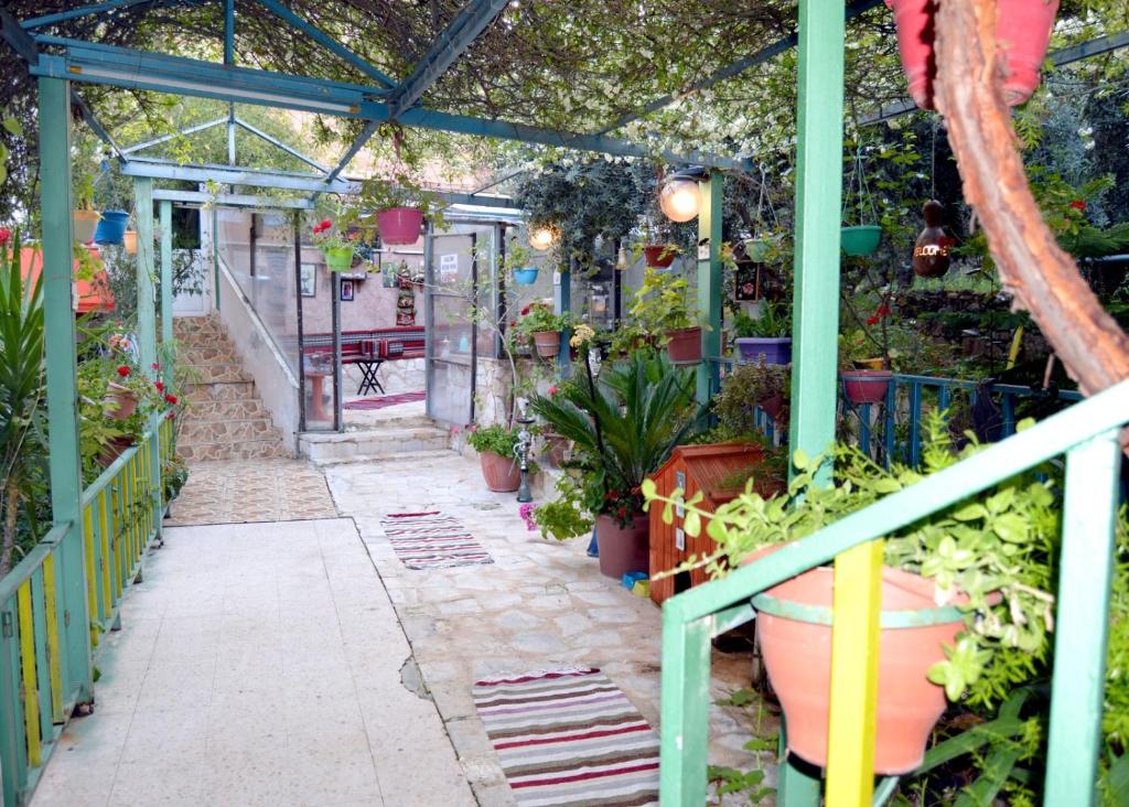 a greenhouse with potted plants in it at بيت الطبيعة nature house in Jerash