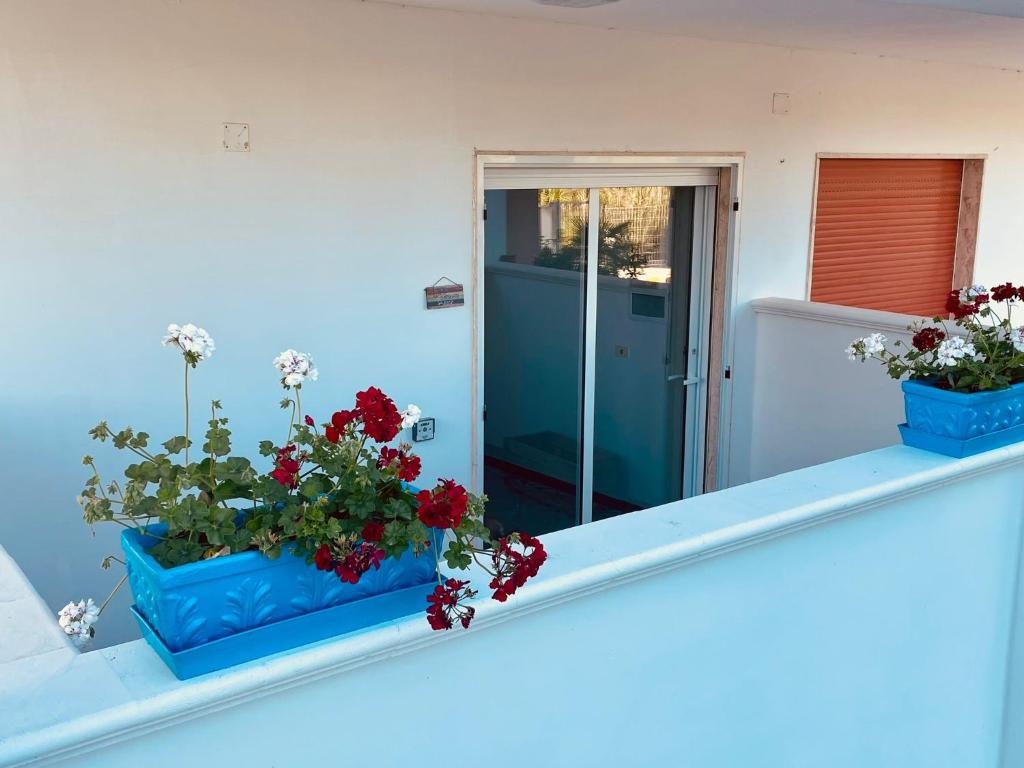 zwei Topfpflanzen, die auf einem Fensterbrett sitzen in der Unterkunft il Profumo del Mare a 150 mt dalla spiaggia bandiera blu in Torre Ovo